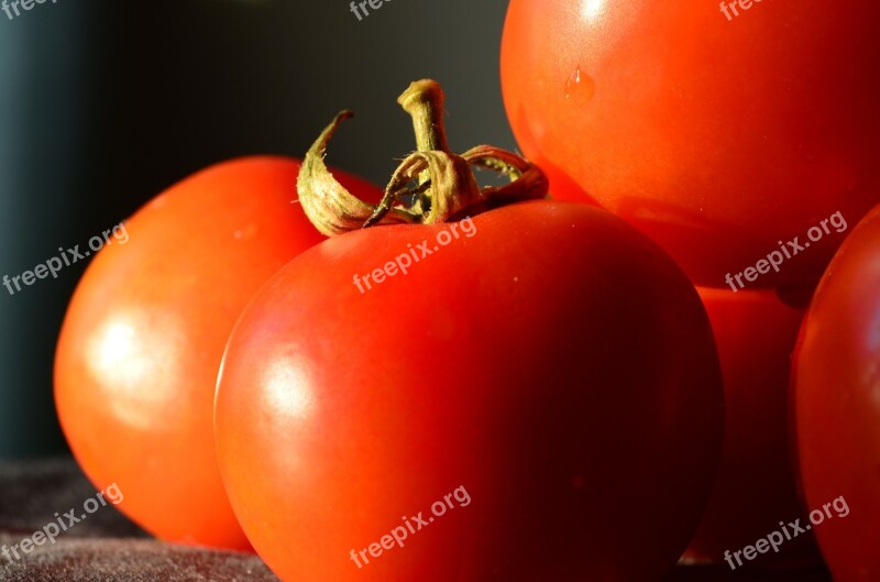 Tomatoes Vegetables Food Fresh Tomato