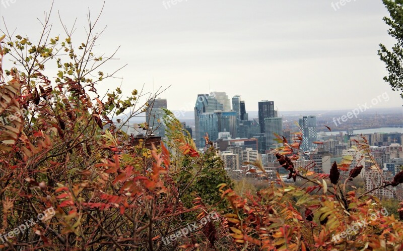 Fall Montreal Québec Canada Metropolitan