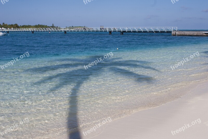 Maldives Beach Conrad Atoll White Sandy Beach