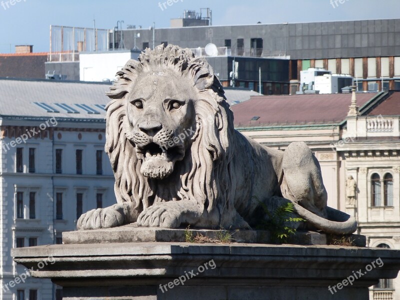 Lion Budapest Chain Bridge Places Of Interest City Trip