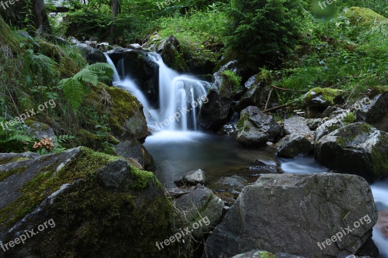 Bach Nature Black Forest Green Water