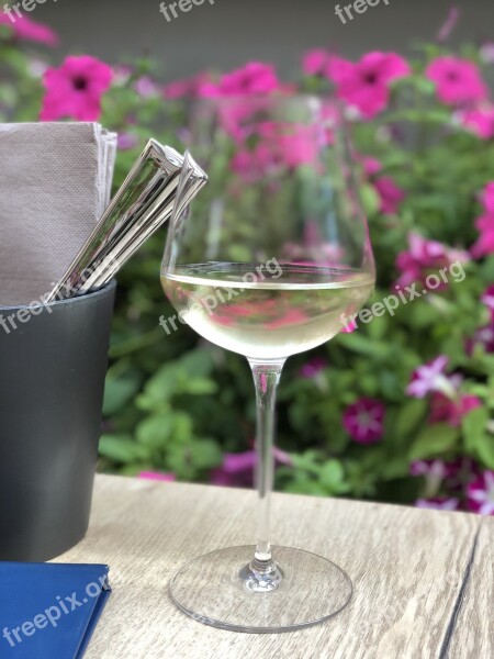 Wine Summer Outdoors Glass Drink