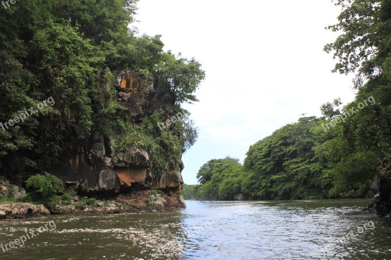 Tributary Rock Tropical Forest Free Photos