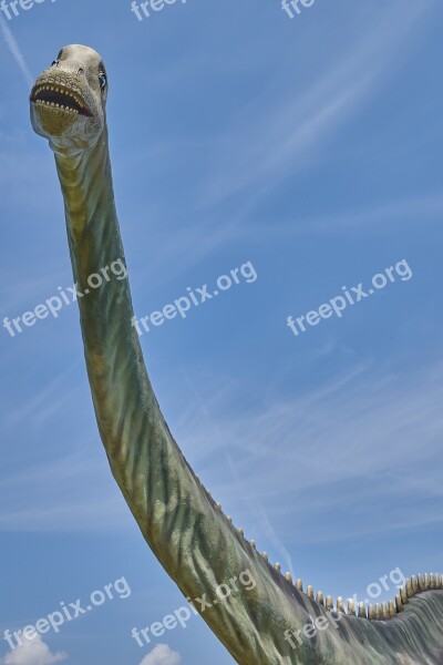 Dinosaur Sky Head Brachiosaurus Reptile