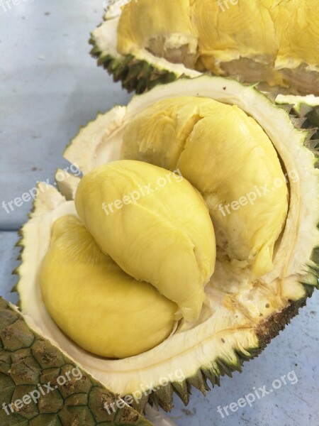 Fruit Durian Tropical Fruit Free Photos