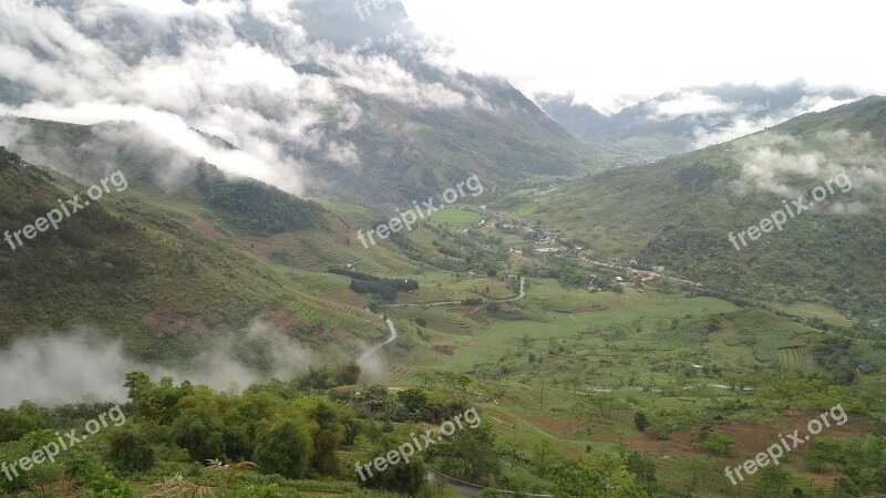 The Valley Ha Giang Land Tree