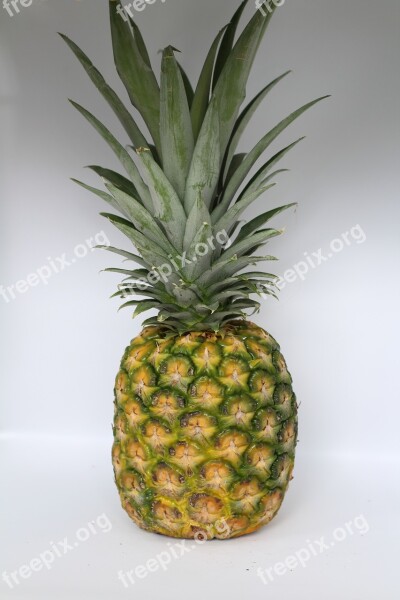 Pineapple Fruit Tropical Exotic Pineapples