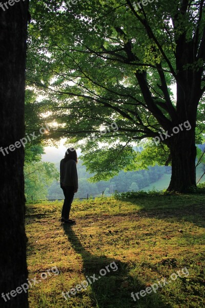 Shadow Girl Tree Woman People