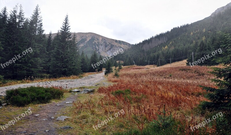 Mountains Tatry View Trail The Path