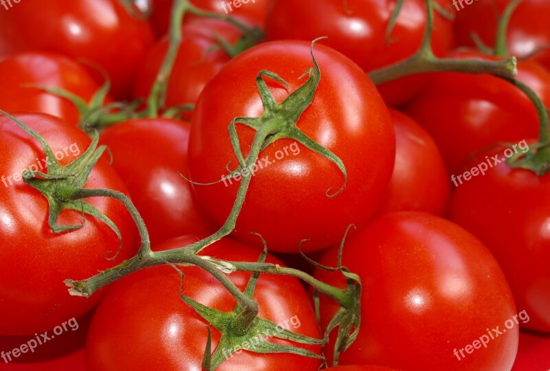 Tomatoes Tomato Branch Ripe Tomato Food Fruit