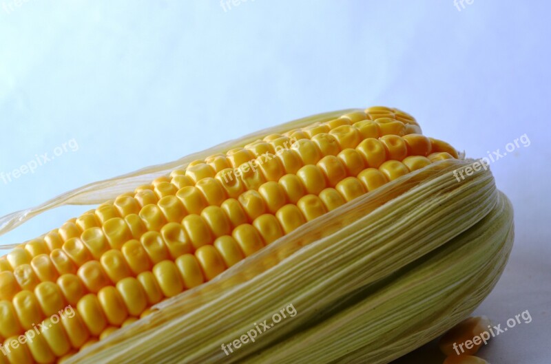 Corn Maize Vegetables Grain Organic