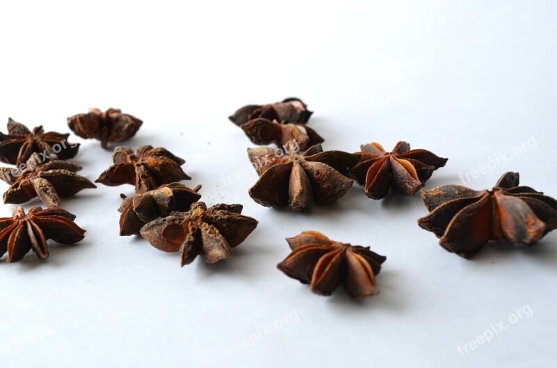 Anise Chinese Star Anise Illicium Verum Star Anise Brown