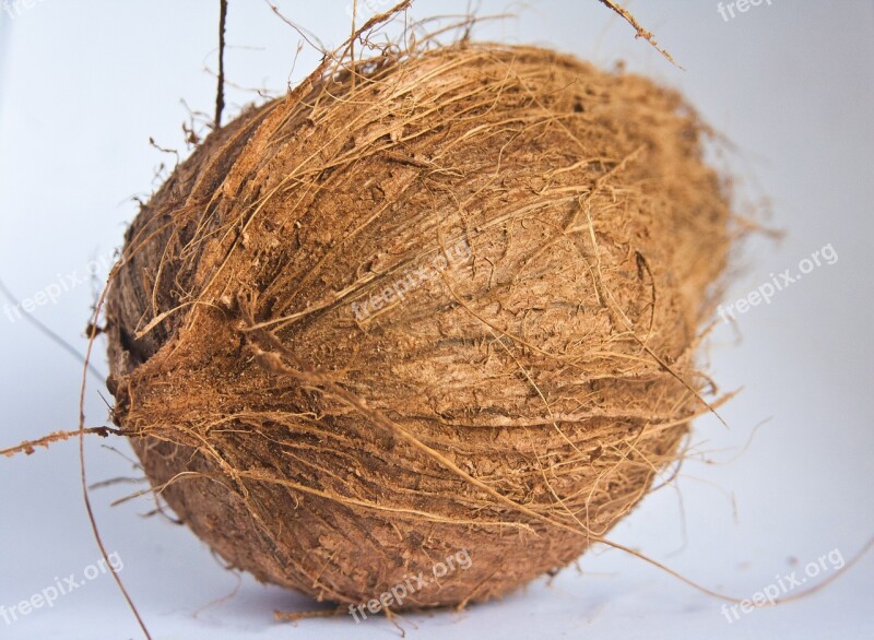 Coconut Dried Food Snack Ingredient