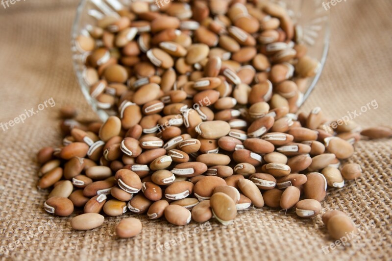 Beans Ingredients Food Brown Healthy