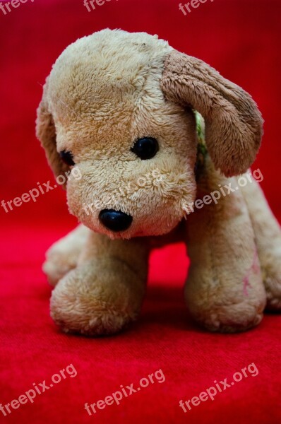 Plush Toy Dog Puppy Soft Toy