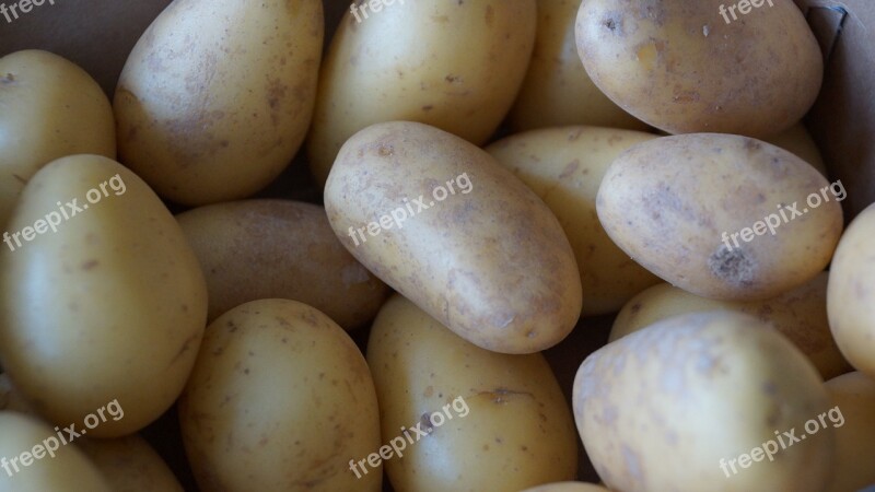 Potatoes Vegetable Plant Food Cuisine