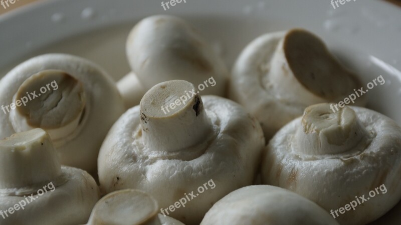 Mushroom Vegetable Cooking Raw Cuisine