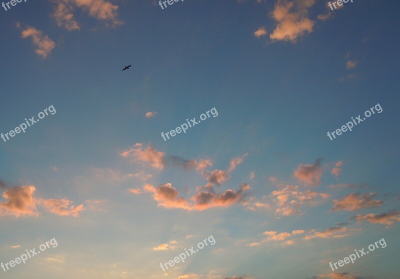 Sky Pink Clouds Evening Light Free Photos