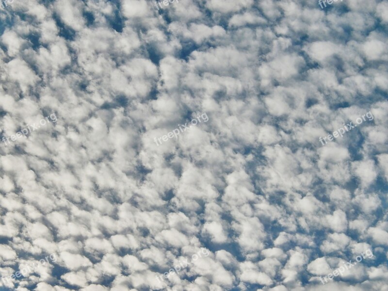 Cirrocumulus Cloud Sky Free Photos