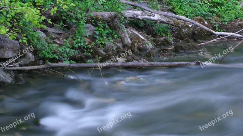 Stream White Water Nature Free Photos