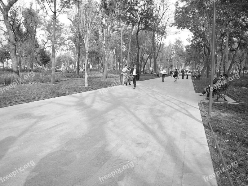 Park Path Afternoon Free Photos