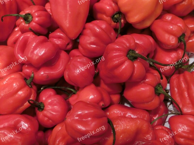 Habanero Habanero Peppers Paprika Red Sharp