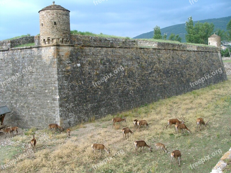 Citadel Fortification Jaca Huesca Jacetania