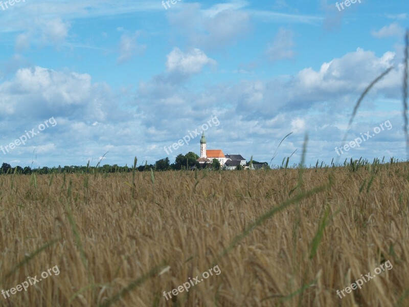 Field Wheat Church Nature Scenic