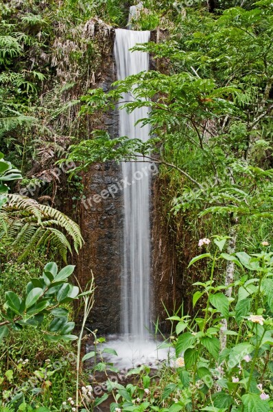 Small Falls National Park Madagascar Forest Waterfall