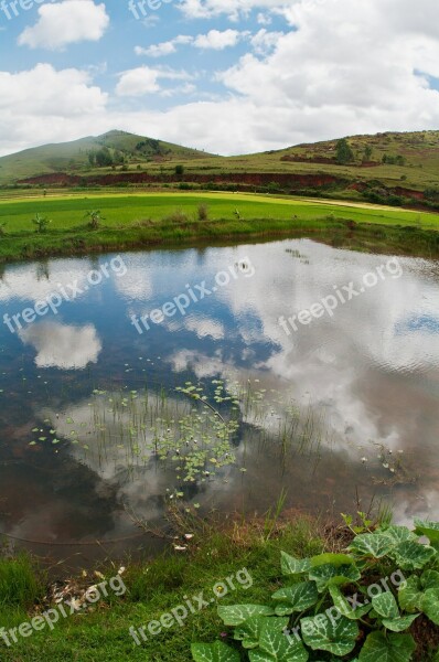 Countryside Rice Field Fish Pond Fisheye Water