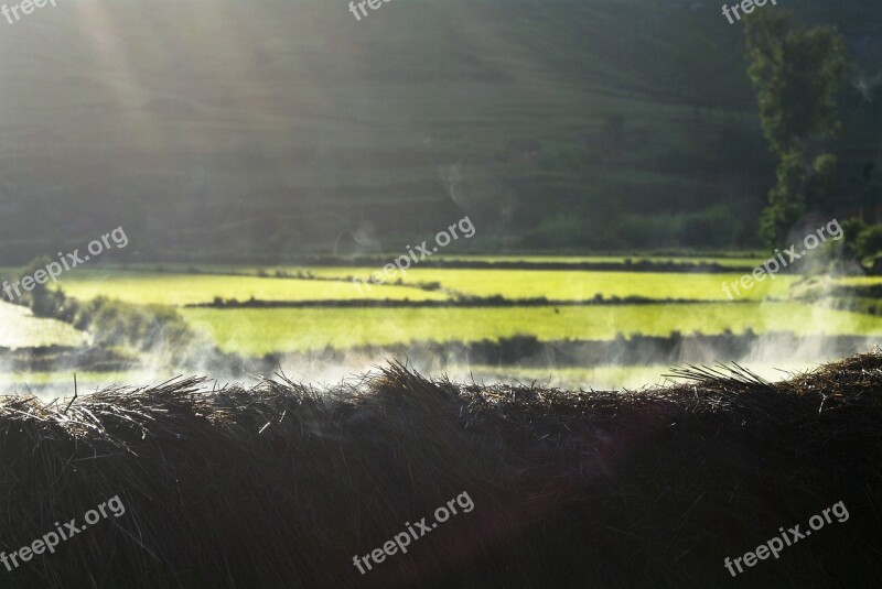 Morning Smokey Thatch Lightbeam Rice Field Madagascar