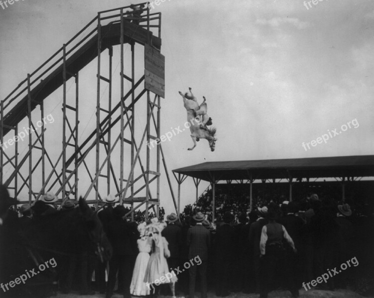 Horse Diving Vintage Jumping Tower History