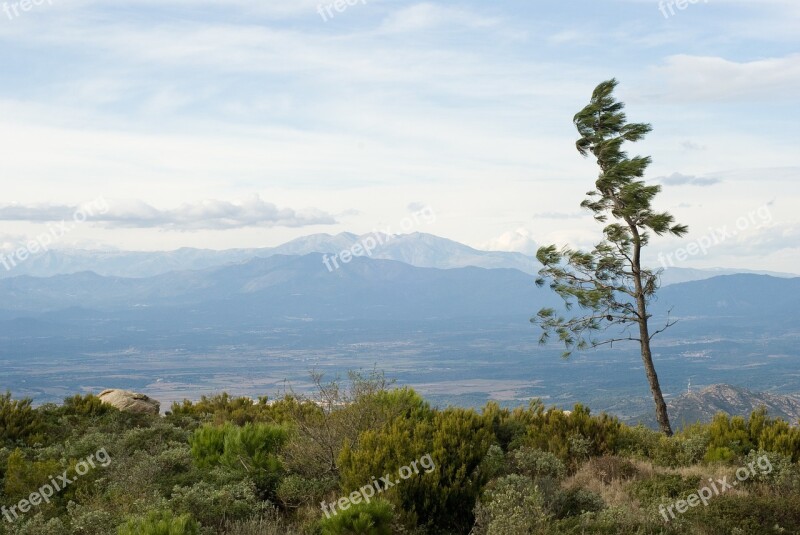 Spain Tree Mountains Nature Spring