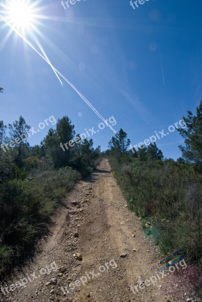 Trail Track Sun Sky Nature