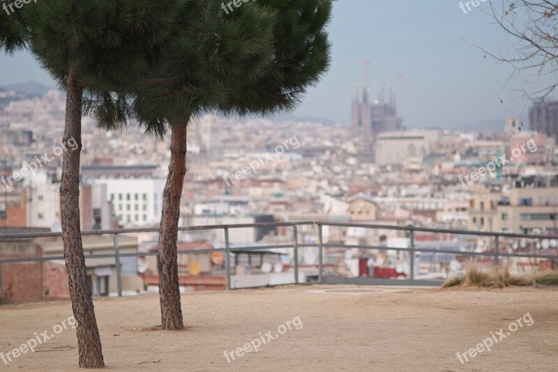 Barcelona Sagrada Família Spain Catalonia Cathedral