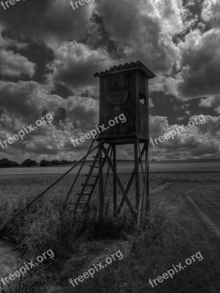 Hunter Was Perch Clouds Field Nature