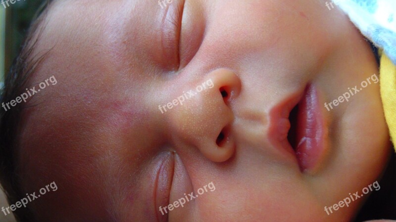 Sleeping Baby Boy Young Resting