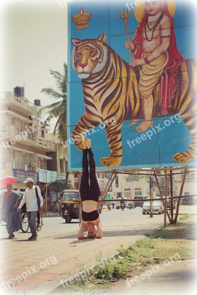 Headstand Sirsasana Yoga Ashtanga India