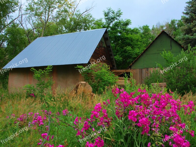 Homestead House Architecture Building Residential