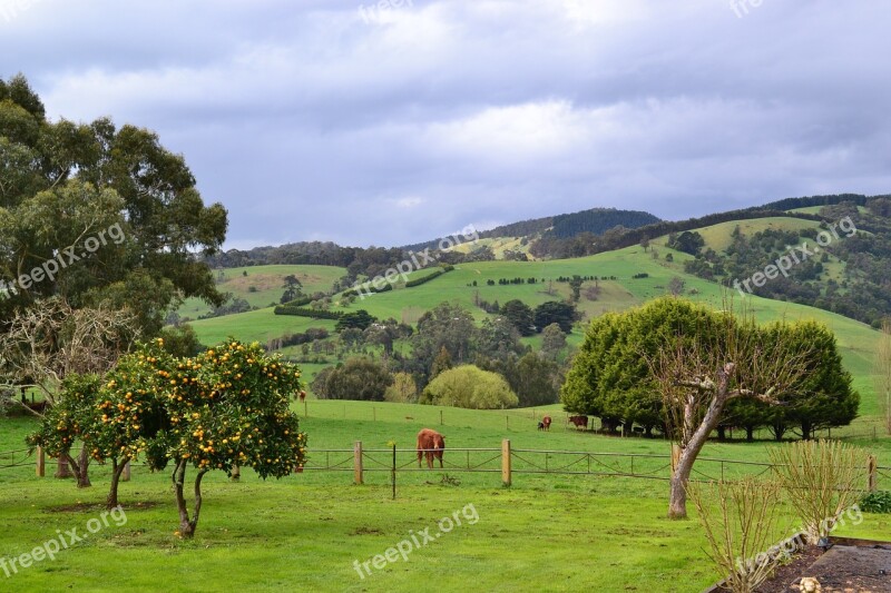 Gippsland Victoria Australia Free Photos