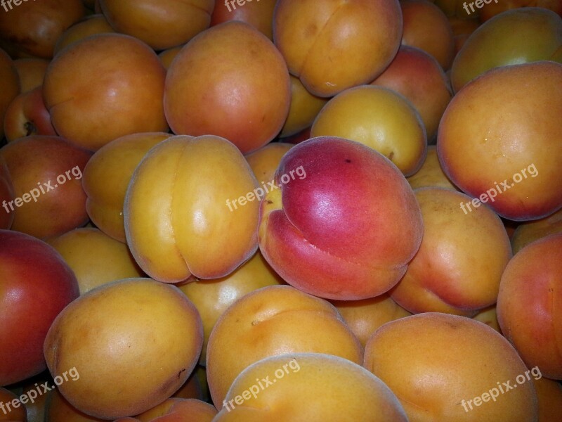 Apricots Apricot Delicious Fruit Cot