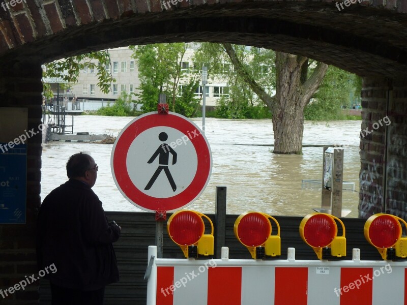 High Water Danube Nature Flood Water