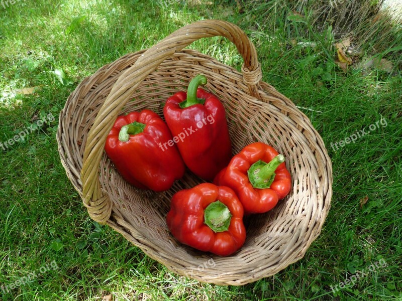 Vegetables Peppers Basket Wicker Red