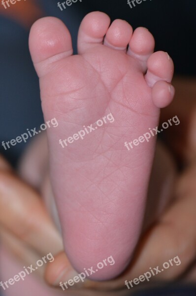 Baby Foot Foot Toes Six Toes Free Photos