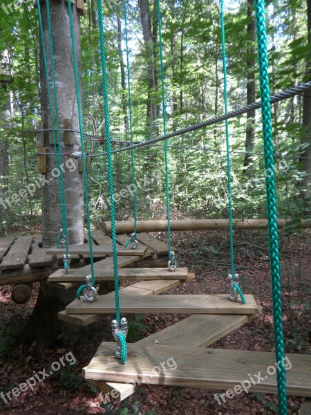 Climbing Forest Climb Climbing Garden Drex Forest