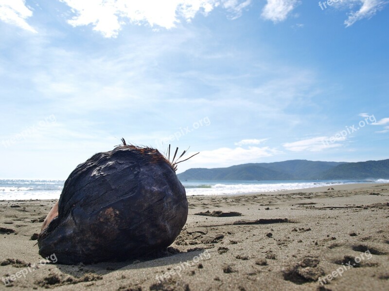 Stone Rock Beach Philippines Tropical