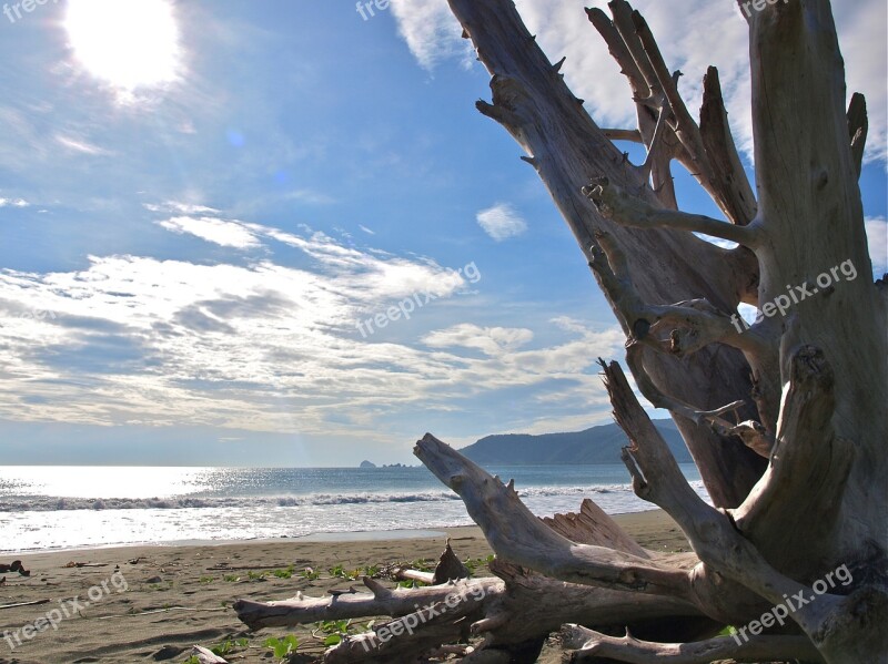 Beach Philippines Tropical Sea Ocean