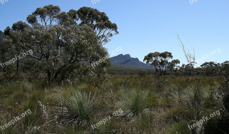 Grampians Australia Bush Nature Rock