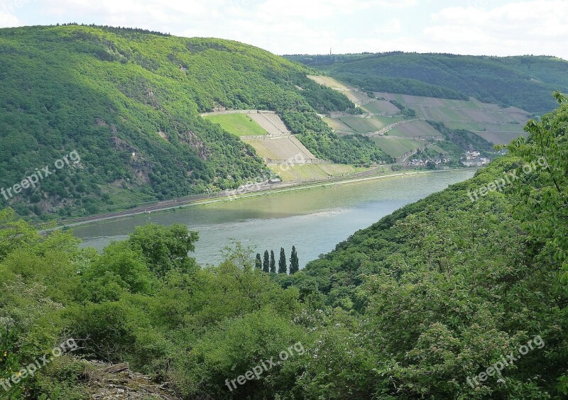 Rhine Bank River Wine Terraces Germany