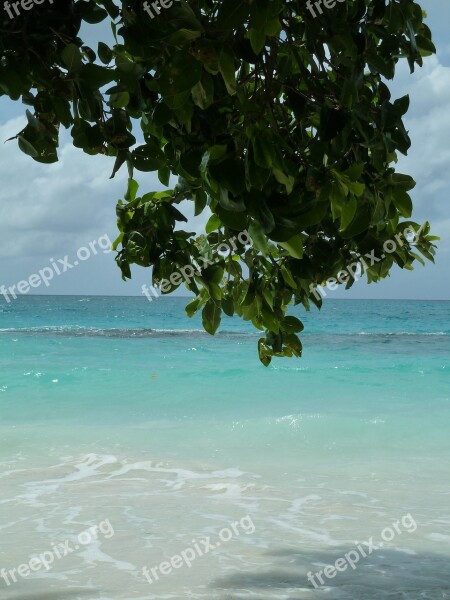 Sea Water Coast Caribbean Beach